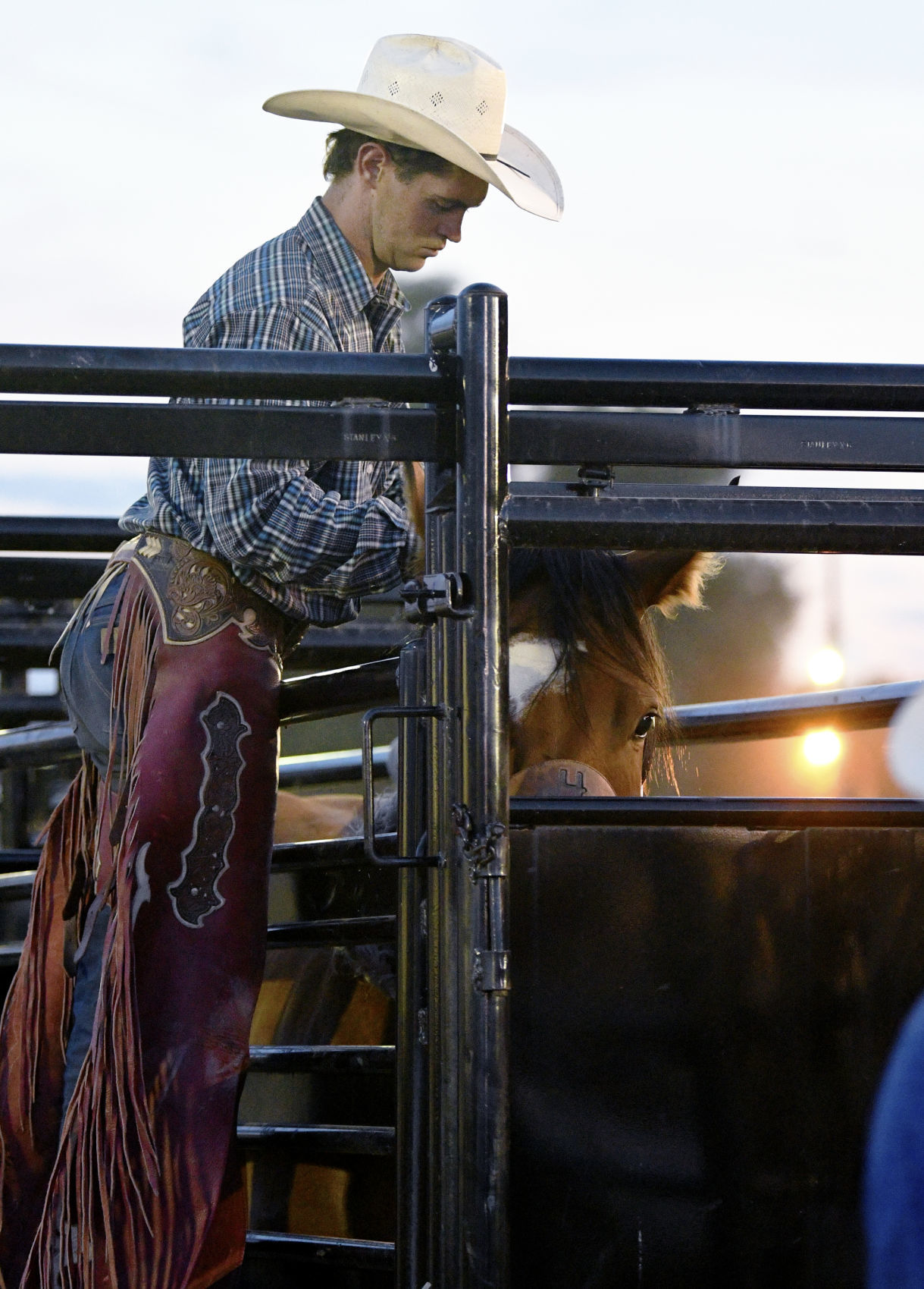 Rodeo
